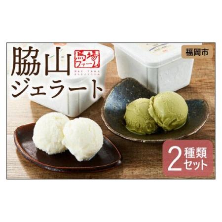 ふるさと納税 脇山ジェラート２種類セット 福岡県福岡市 | 