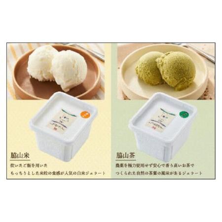 ふるさと納税 脇山ジェラート2種類セット | ジェラート お菓子 菓子 おかし スイーツ デザート おやつ 食品 福岡県福岡市 |  | 02