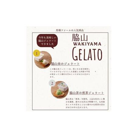 ふるさと納税 脇山ジェラート２種類セット 福岡県福岡市 |  | 04
