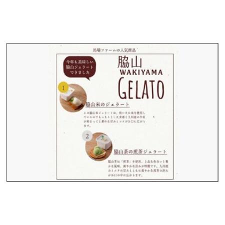 ふるさと納税 脇山ジェラート2種類セット | ジェラート お菓子 菓子 おかし スイーツ デザート おやつ 食品 福岡県福岡市 |  | 04
