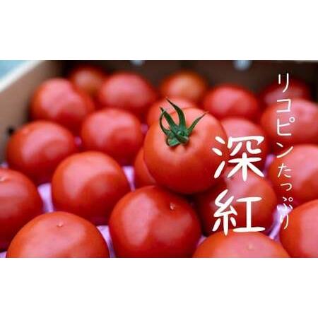 ふるさと納税 赤さがリコピン満載の証！四万十産トマト「深紅」4kg Fbg-06 高知県四万十町