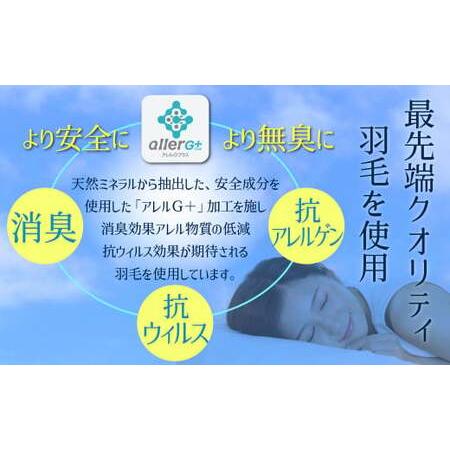 ふるさと納税 【高さが選べる】 綿桂の羽毛枕 『天使のダウンピロー』  レギュラークラス (50×70cm) / 低い 寝具 枕 ふかふか ホテル 睡.. 愛知県碧南市の画像