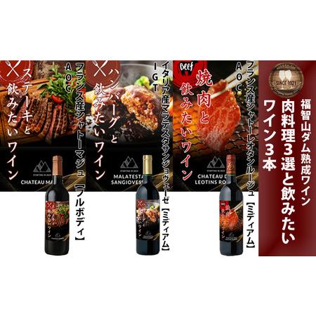 ふるさと納税 FD338 福智山ダム熟成 肉料理3選と飲みたい赤ワイン 3本詰め合わせセット 熟成ワイン ワイン 赤 酒 お酒 福岡県直方市