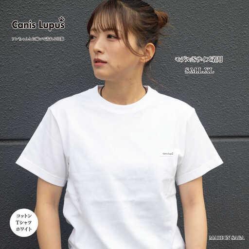 ふるさと納税 コットンTシャツ ホワイト （S-XLサイズ） / Tシャツ