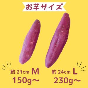 ふるさと納税 なると金時 Lサイズ 5kg 12月発送 さつまいも なると金時 徳島県の画像