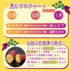 ふるさと納税 なると金時 Mサイズ 5kg 11月発送 さつまいも なると金時 徳島県の画像