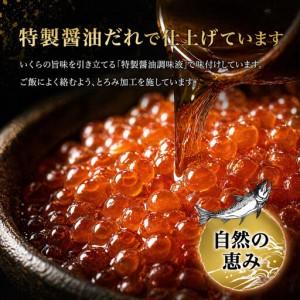 ふるさと納税 いくら 醤油漬け 200g (100g×2P) 北海道 鮭卵 訳あり 冷凍 尾張まるはち 愛知県名古屋市_4