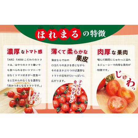 ふるさと納税 明和町産 完熟 トマト ほれまる 1kg とパウンドケーキ の セット 絶品 美味しい 野菜の甘み ミニトマト 朝採り 新鮮 生鮮 野菜 あ.. 三重県明和町_1