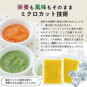 ふるさと納税 冷凍さつまいもペースト2.0kg(500g×4袋) 山形県遊佐産 冷凍便 ※離島発送不可 冷凍 さつまいも さつま芋 サツマイモ 野菜 野.. 山形県遊佐町の画像