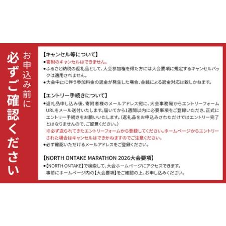 ふるさと納税 【2026年9月27日(日)開催】日本一標高差のあるマラソン！NORTH ONTAKE MARATHON 2026 ULTRA 111km 出走権 1名分（お申込みについて.. 岐阜県下呂市の画像