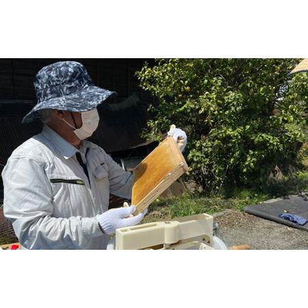 ふるさと納税 はちみつ 開成町の百花はちみつ 600g [BDAO002] 神奈川県開成町の画像