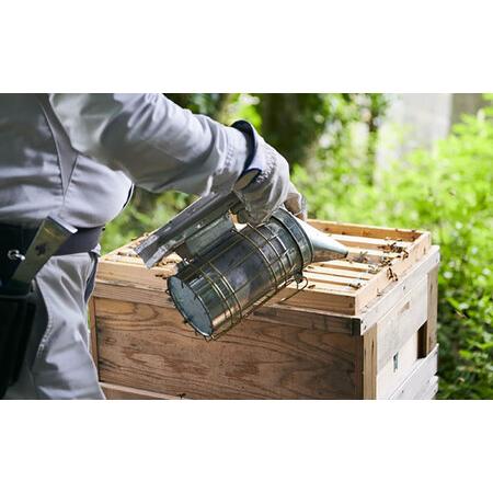 ふるさと納税 はちみつ 開成町の百花はちみつ 600g [BDAO002] 神奈川県開成町の画像