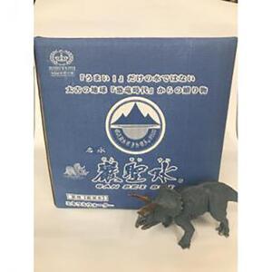 ふるさと納税 ミネラルウォーター巌聖水6500(がんせいすい6500) (10L×2ケース入り) 兵庫県西宮市の画像