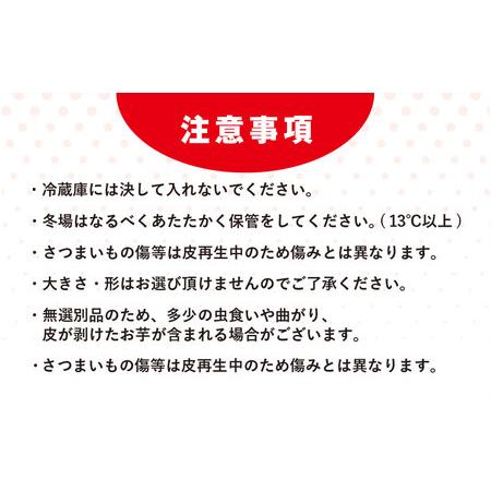 ふるさと納税 【先行予約】【訳あり】香取市産 さつまいも 紅はるか 約10kg×1 焼き芋やスイートポテトにどうぞ  / 芋 サツマイモ さつま芋 .. 千葉県香取市の画像