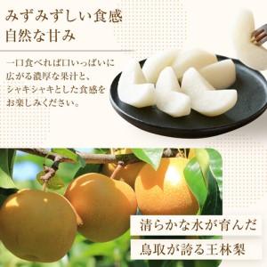 ふるさと納税 王秋梨 10kg（ＪＡ） ※2026年10月下旬〜11月下旬頃に順次発送予定  【梨 なし 果物 フルーツ くだもの 鳥取県産 北栄町 おすすめ.. 鳥取県北栄町の画像
