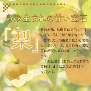 ふるさと納税 王秋梨 10kg（ＪＡ） ※2026年10月下旬〜11月下旬頃に順次発送予定  【梨 なし 果物 フルーツ くだもの 鳥取県産 北栄町 おすすめ.. 鳥取県北栄町の画像