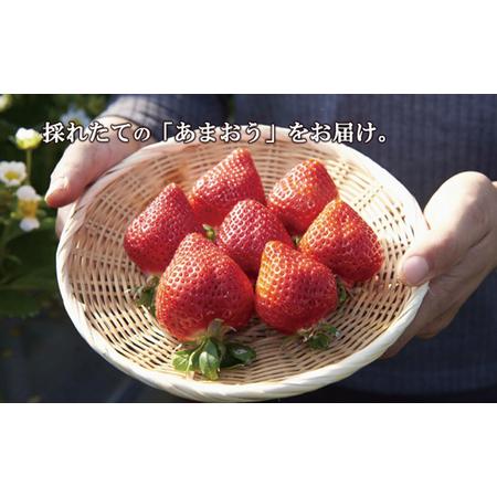 ふるさと納税 【2025年5月より順次発送】福津産『空飛ぶあまおう ふるさと納税 【2025年5月より順次発送】福津産『空飛ぶあまおう
