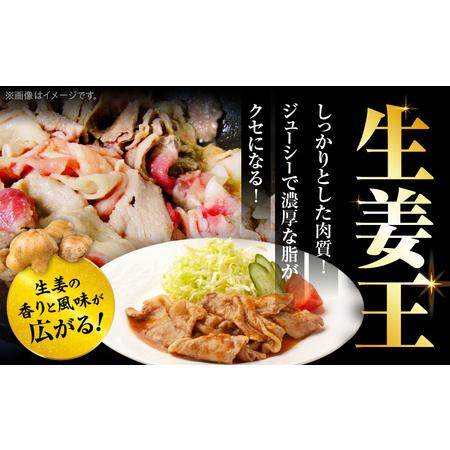 ふるさと納税 訳あり 豚生姜焼き 《生姜王》1kg盛り 秘伝のタレ漬け 焼くだけ簡単生姜焼き|肉 豚肉 生姜焼き 生姜 秘伝 タレ タレ漬け コク .. 香川県三木町の画像