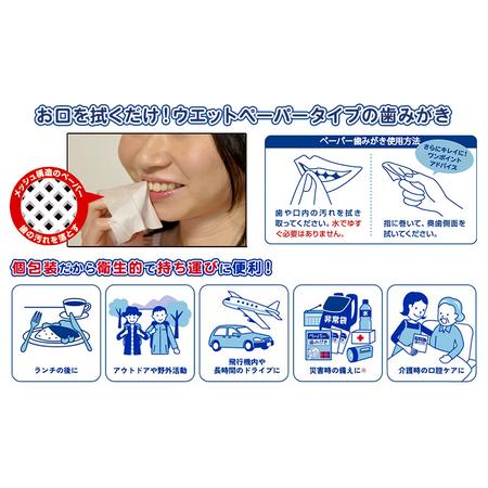ふるさと納税 備蓄用 ペーパー歯みがき クールウェイブ 30包入り　災害 旅行 アウトドア ハミガキ 歯磨き 千葉県千葉市_1
