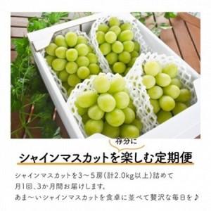 ふるさと納税 【発送月固定定期便】シャインマスカット(3-5房)を楽しむ満足便!3便計6.0kg〜(岡山産)全3回【配送不可地域：離島】【4065364】 岡山県津山市_1