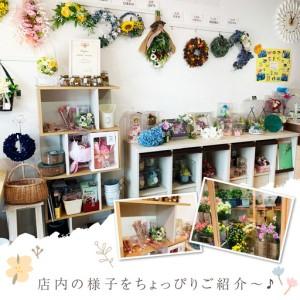 ふるさと納税 ダリアクリスマスフラワーリース【072D-094】 大阪府泉南市_3