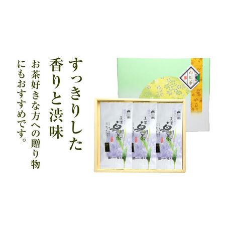 ふるさと納税 【3回定期便】本格 高級茶セット 100g×3袋 化粧箱入り お茶 煎茶 白川茶 茶葉 ギフト 白川町 / 菊之園[AWAG009] 岐阜県白川町の画像