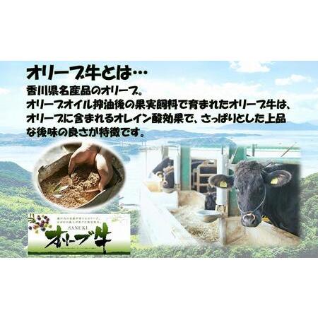 ふるさと納税 《おすそわけにも・小分け・大容量》オリーブ牛切り落とし10kg 香川県坂出市_2