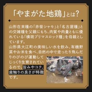 ふるさと納税 あてらZAWAカレー（やまがた地鶏手羽元1本入り） 4袋 017-001 山形県大江町_2