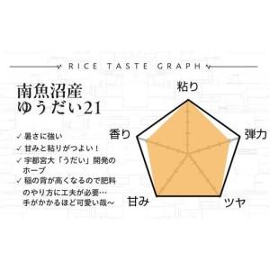 ふるさと納税 【令和8年産新米予約】精米10kg 南魚沼産ゆうだい21（5kg×２袋）【令和8年10月中旬から1ヶ月以内に順次発送予定】・農家直.. 新潟県南魚沼市_3