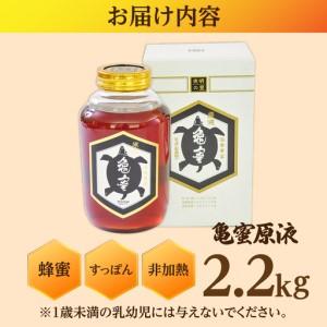 ふるさと納税 【お中元対象】亀蜜原液2.2kg 日田市 はちみつ 国産 ハチミツ[AREN004] 大分県日田市_3