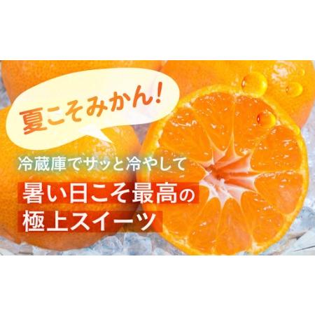 ふるさと納税 【ふるなびWEEK対象】【先行予約】伊良湖 温室みかん 2kg みかん フルーツ 愛知県田原市_1