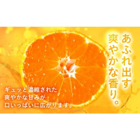 ふるさと納税 【ふるなびWEEK対象】【先行予約】伊良湖 温室みかん 2kg みかん フルーツ 愛知県田原市_2