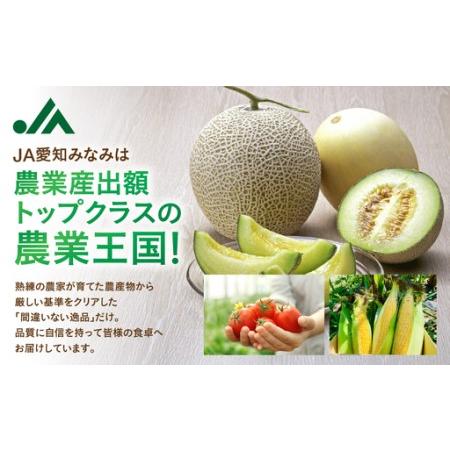 ふるさと納税 【ふるなびWEEK対象】【先行予約】伊良湖 温室みかん 2kg みかん フルーツ 愛知県田原市_4