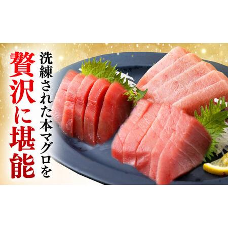 ふるさと納税 【全3回定期便】対馬産 本マグロ 500g（赤身300g、中トロ200g） トロの華 対馬 新鮮 マグロ トロ 鮪 刺身 [WAQ044] 長崎県対馬市の画像