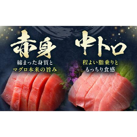 ふるさと納税 【全3回定期便】対馬産 本マグロ 500g（赤身300g、中トロ200g） トロの華 対馬 新鮮 マグロ トロ 鮪 刺身 [WAQ044] 長崎県対馬市の画像