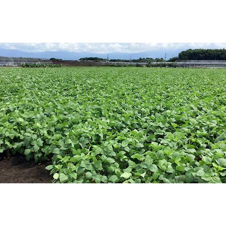 ふるさと納税 赤大豆珈琲 ドリップバッグ 5個入  コーヒーコーヒーコーヒーコーヒーコーヒー　[AYAB006] 熊本県合志市