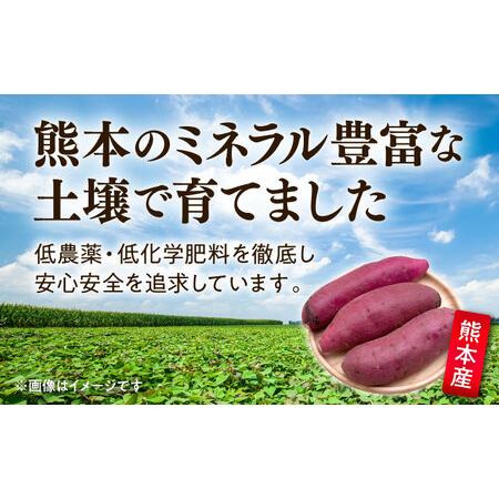ふるさと納税 訳あり 紅はるか さつまいも 約10kg 2Sから3Lサイズ混合 さつまいも [AYAT003] 熊本県合志市の画像