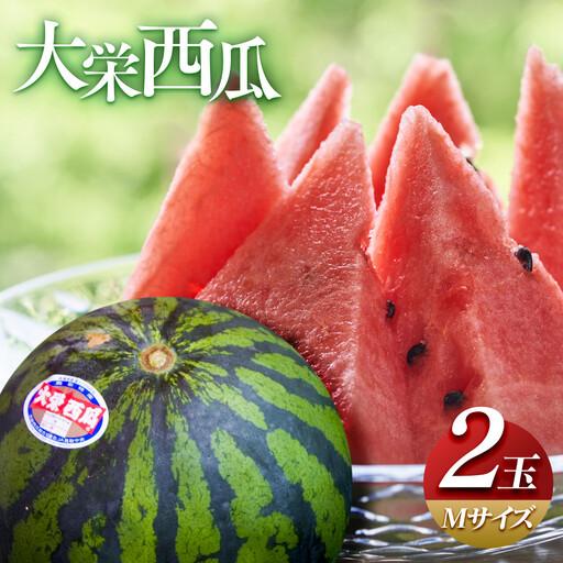 ふるさと納税 [先行予約]大栄西瓜 M 2玉※6月中旬〜7月中旬頃に順次発送予定 スイカ 鳥取県北栄町