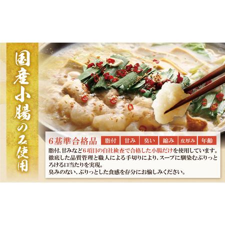 ふるさと納税 Y61-01R09 【7営業日以内発送】博多若杉 【訳あり】牛もつ鍋セット(2人前×5) 10人前 もつ鍋 福岡県福智町