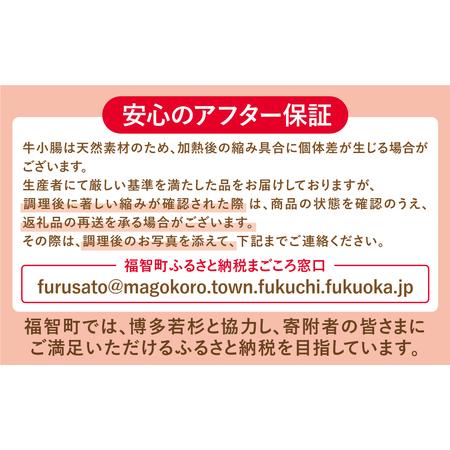 ふるさと納税 Y61-01R09 【7営業日以内発送】博多若杉 【訳あり】牛もつ鍋セット(2人前×5) 10人前 もつ鍋 福岡県福智町