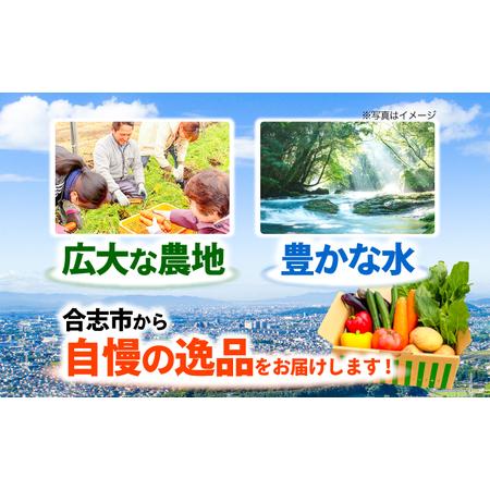 ふるさと納税 旬のお野菜10~12品 野菜[AYAB008] 熊本県合志市の画像
