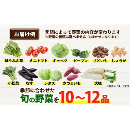 ふるさと納税 旬のお野菜10~12品 野菜[AYAB008] 熊本県合志市の画像