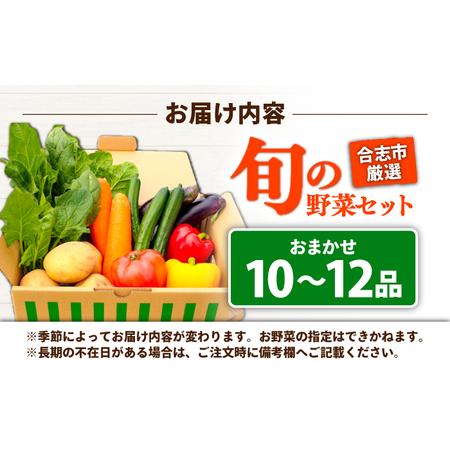 ふるさと納税 旬のお野菜10~12品 野菜[AYAB008] 熊本県合志市の画像