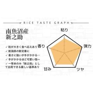 ふるさと納税 【令和8年産新米予約】精米10kg 南魚沼産新之助（5kg×2袋）【令和8年10月中旬から1ヶ月以内に順次発送予定予定】・農家直送.. 新潟県南魚沼市_3