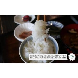 ふるさと納税 【令和8年産新米予約】精米10kg 南魚沼産新之助（5kg×2袋）【令和8年10月中旬から1ヶ月以内に順次発送予定予定】・農家直送.. 新潟県南魚沼市_4