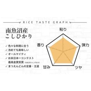 ふるさと納税 【令和8年産新米予約】精米10kg 南魚沼産コシヒカリ（5kg×2袋）【令和8年9月下旬から1ヶ月以内に順次発送予定】農家直送_AG 新潟県南魚沼市_3