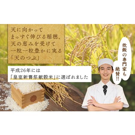 ふるさと納税 【令和7年産】米 国見町産 天のつぶ 20kg 5kg×4袋 ※沖縄