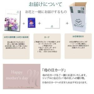 ふるさと納税 【母の日ギフト】カサブランカとピンク百合の花束《遅れてごめんね》＜出荷開始：5/18までのお届け 当店おまかせ＞【母の日 ギフト.. 大阪府門真市_1