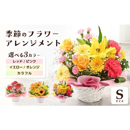 ふるさと納税 選べるカラー 季節のフラワーアレンジメント S (カラフル