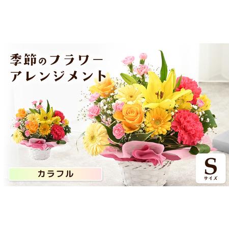 ふるさと納税 選べるカラー 季節のフラワーアレンジメント S (カラフル
